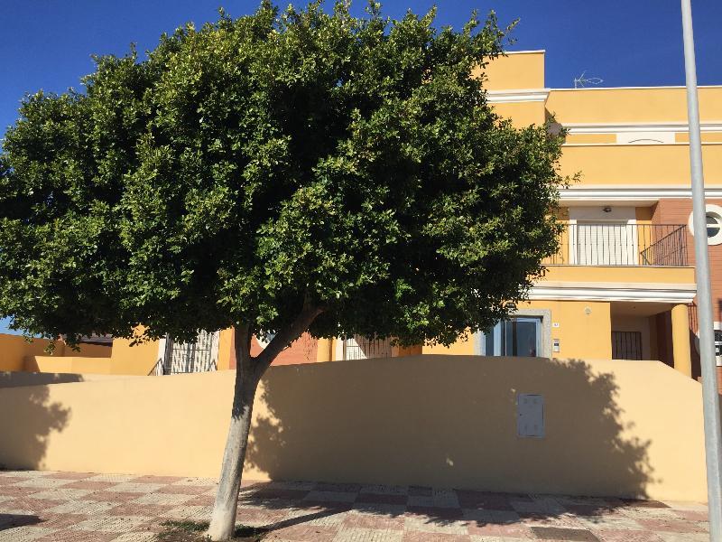 Apartamentos Playamar Roquetas de Mar Esterno foto